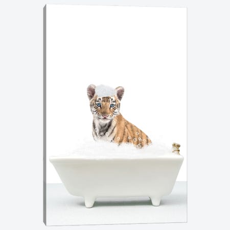 Baby Tiger In A Bathtub Canvas Print #TTP113} by Tiny Treasure Prints Art Print