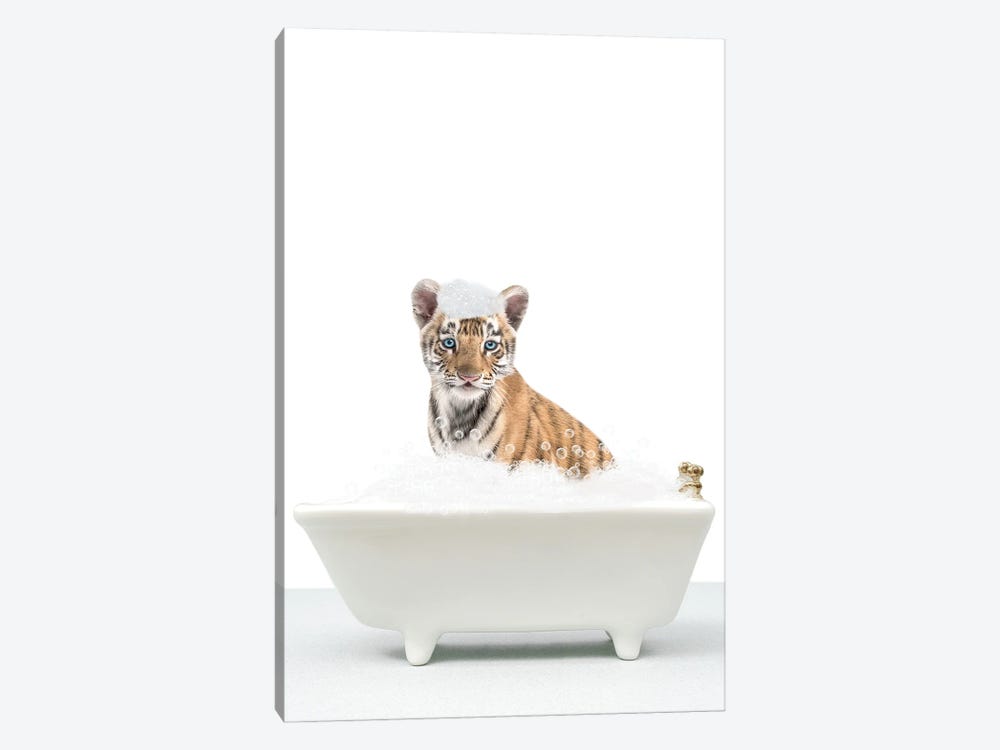 Baby Tiger In A Bathtub by Tiny Treasure Prints 1-piece Canvas Wall Art