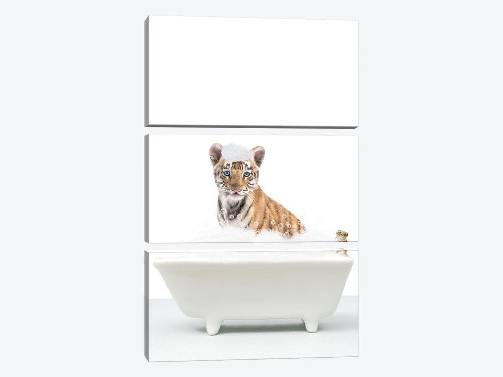 Baby Tiger In A Bathtub by Tiny Treasure Prints 3-piece Canvas Artwork
