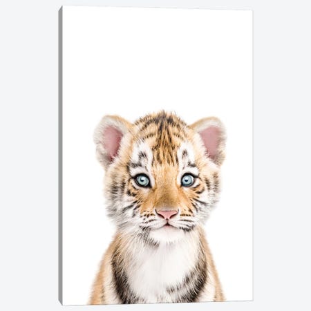 Baby Tiger Canvas Print #TTP114} by Tiny Treasure Prints Canvas Art