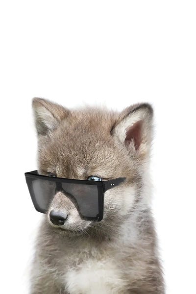 Wolves: Wolf Cub With Sunglasses by Tiny Treasure Prints