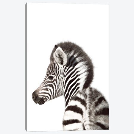 Baby Zebra Backside Canvas Print #TTP116} by Tiny Treasure Prints Canvas Art