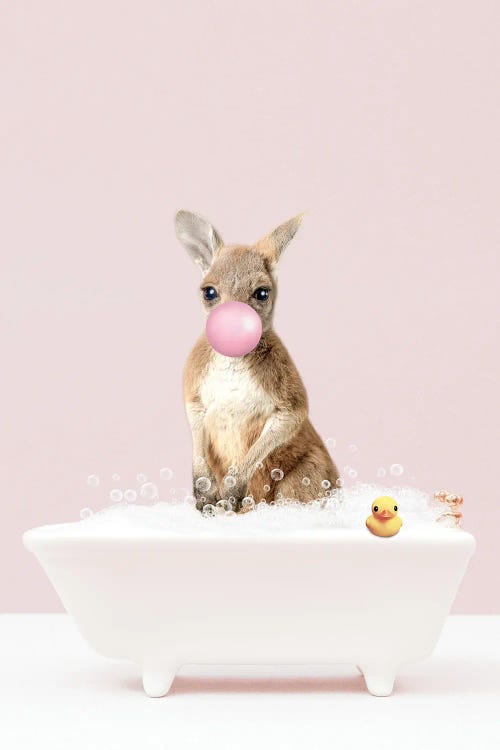 Baby Kangaroo With Bubblegum In Bathtub