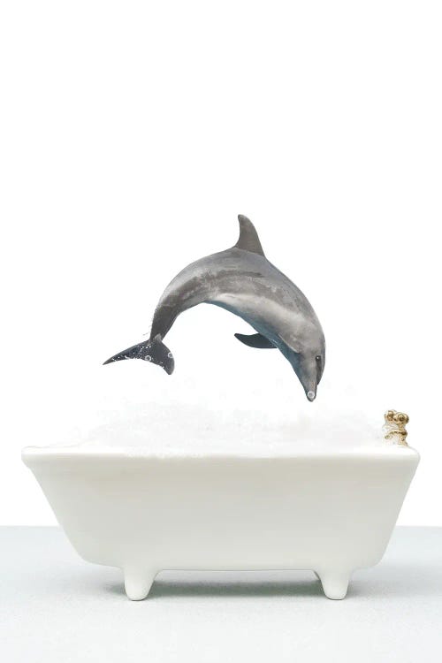 Dolphin In A Bathtub