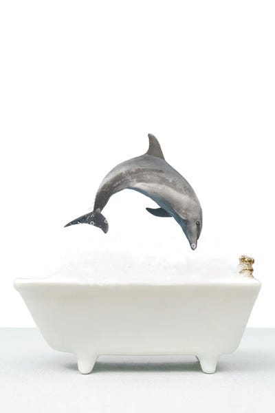 Kids Ocean Life Art: Dolphin In A Bathtub by Tiny Treasure Prints