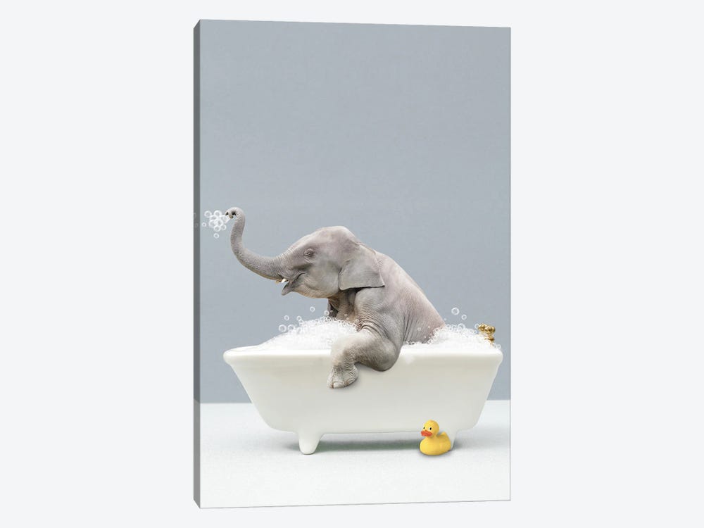 Elephant In A Bathtub by Tiny Treasure Prints 1-piece Canvas Wall Art