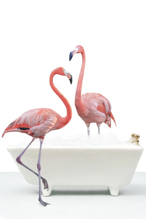 Flamingo In A Bathtub