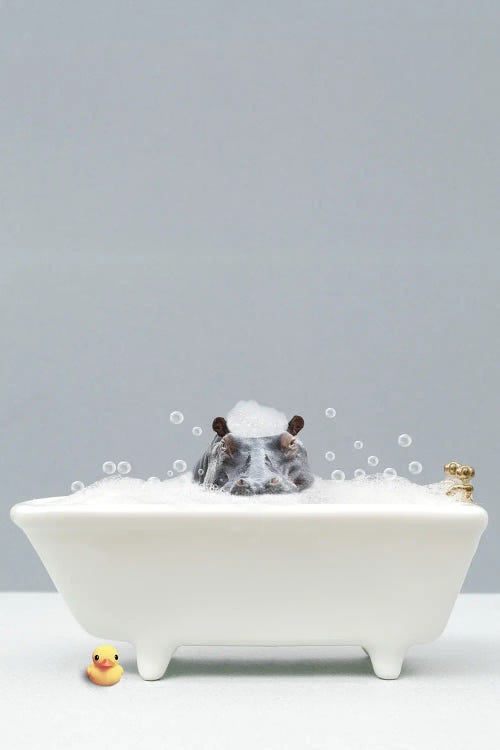 Hippo In A Bathtub