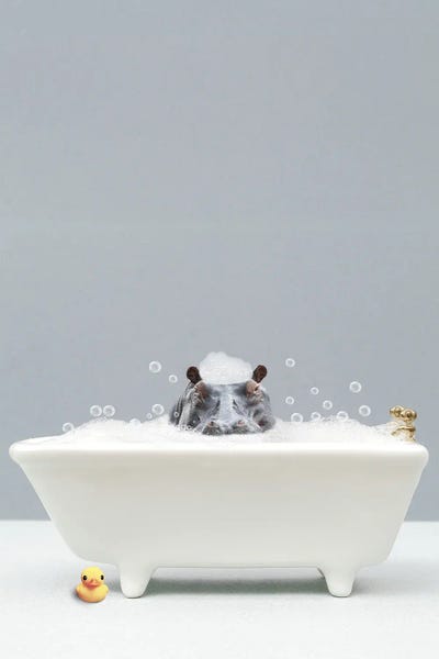 Hippopotamuses: Hippo In A Bathtub by Tiny Treasure Prints