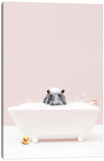Hippo In A Bathtub II Canvas Art Print - Hippopotamus Art