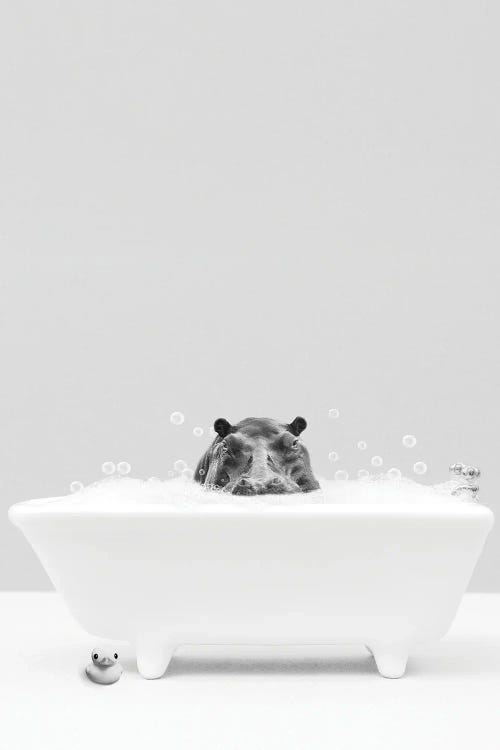 Hippo Bathing