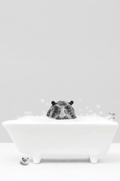 Hippo Bathing