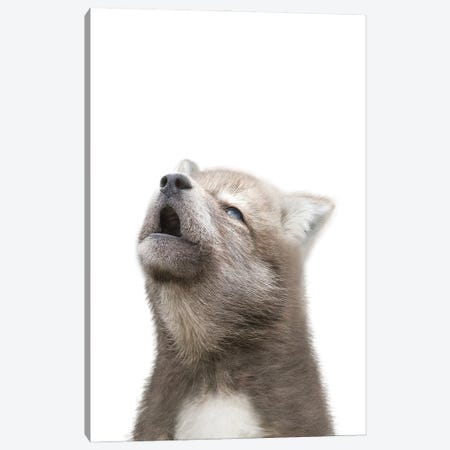 Howling Baby Wolf Canvas Print #TTP134} by Tiny Treasure Prints Canvas Wall Art