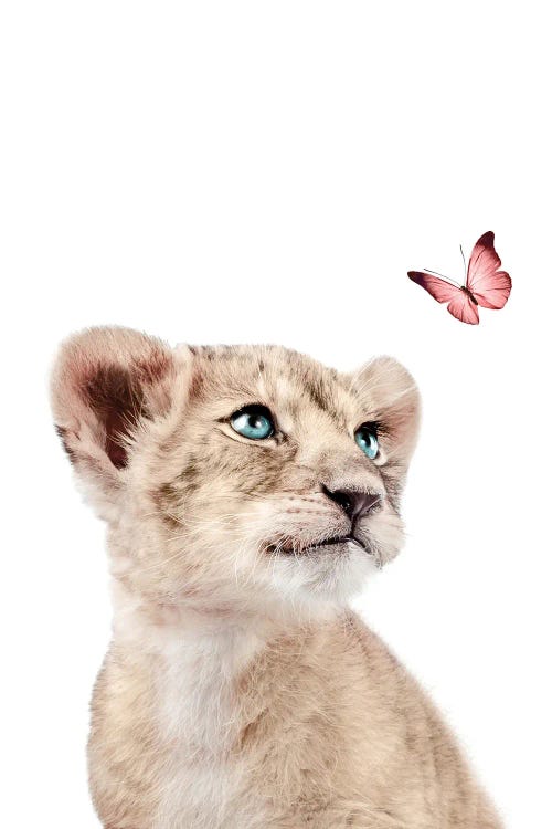 Lion Cub With Pink Butterfly I