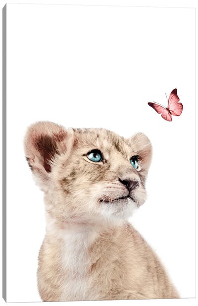 Lion Cub With Pink Butterfly I Canvas Art Print - Tiny Treasure Prints