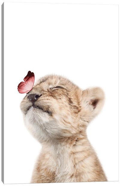 Lion Cub With Pink Butterfly II Canvas Art Print - Tiny Treasure Prints