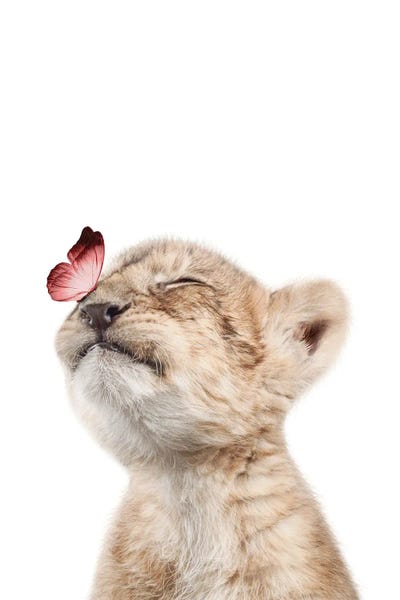 Baby Animals: Lion Cub With Pink Butterfly II by Tiny Treasure Prints