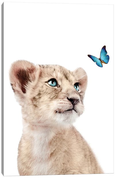 Lion Cub With Blue Butterfly I Canvas Art Print - Baby Animal Art