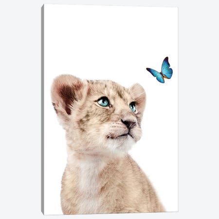 Lion Cub With Blue Butterfly I Canvas Print #TTP141} by Tiny Treasure Prints Canvas Wall Art