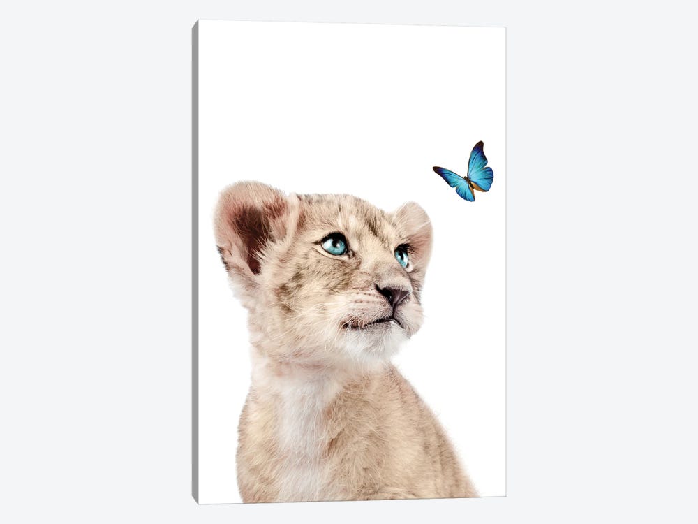 Lion Cub With Blue Butterfly I by Tiny Treasure Prints 1-piece Canvas Print