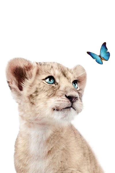 Baby Animals: Lion Cub With Blue Butterfly I by Tiny Treasure Prints