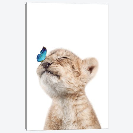 Lion Cub With Blue Butterfly II Canvas Print #TTP142} by Tiny Treasure Prints Canvas Wall Art