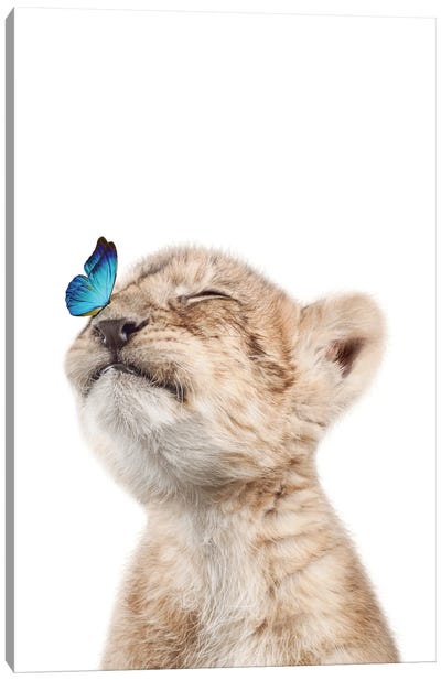Lion Cub With Blue Butterfly II Canvas Art Print - Tiny Treasure Prints