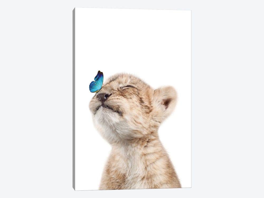 Lion Cub With Blue Butterfly II by Tiny Treasure Prints 1-piece Canvas Wall Art