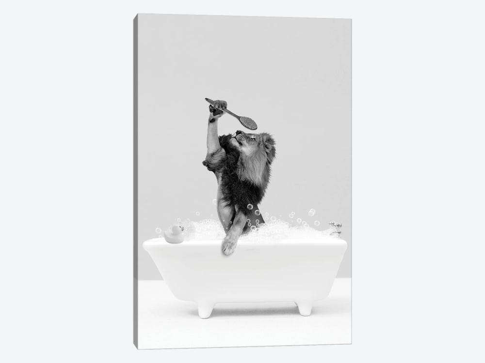 Lion In A Bathtub Black And White by Tiny Treasure Prints 1-piece Canvas Print