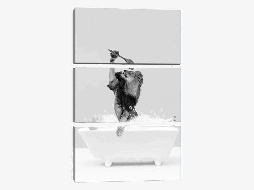 Lion In A Bathtub Black And White by Tiny Treasure Prints 3-piece Canvas Art Print