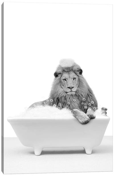 Lion In A Tub Canvas Art Print - Bathroom Break
