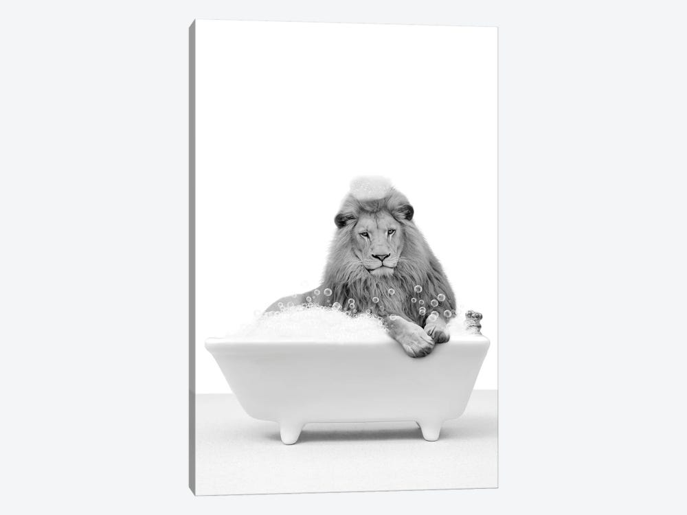 Lion In A Tub by Tiny Treasure Prints 1-piece Canvas Wall Art