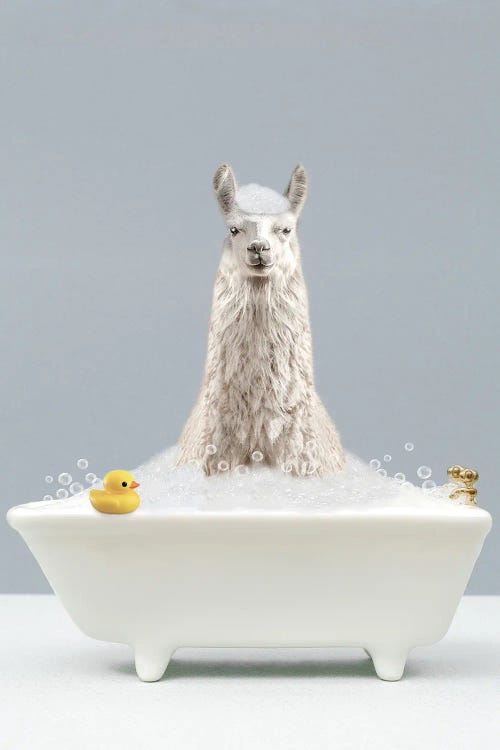 Llama In A Bathtub