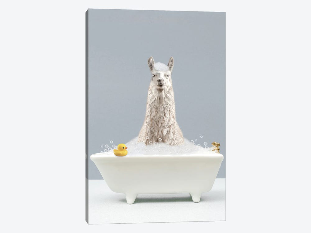 Llama In A Bathtub by Tiny Treasure Prints 1-piece Art Print