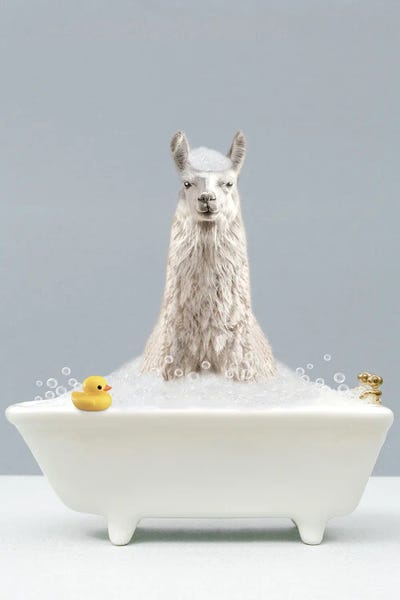 Llamas: Llama In A Bathtub by Tiny Treasure Prints