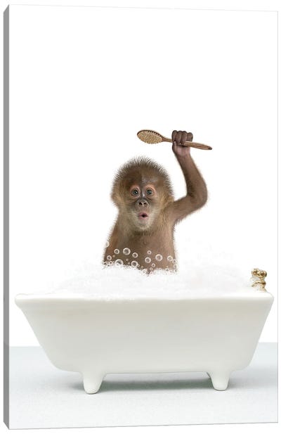Monkey In A Bathtub II Canvas Art Print - Baby Animal Art