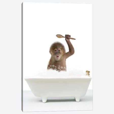 Monkey In A Bathtub II Canvas Print #TTP150} by Tiny Treasure Prints Art Print