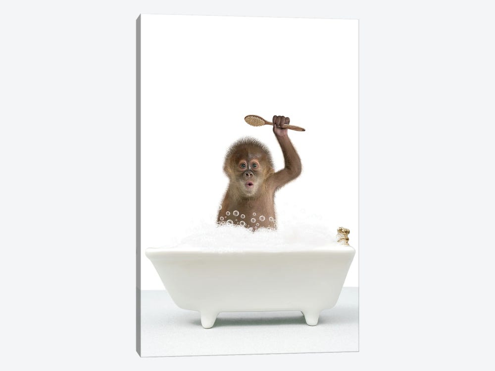Monkey In A Bathtub II by Tiny Treasure Prints 1-piece Canvas Art Print