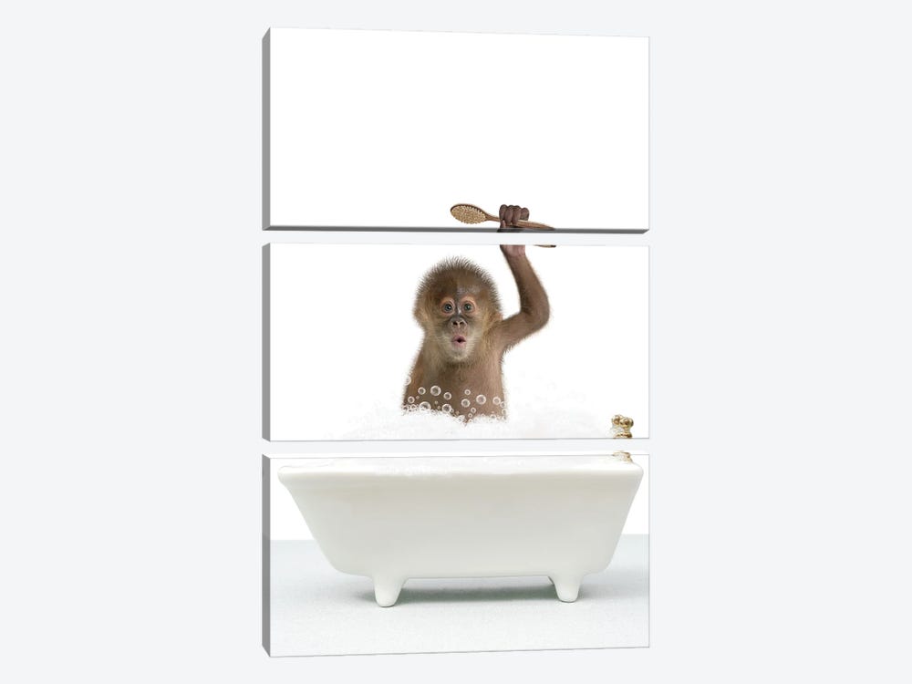 Monkey In A Bathtub II by Tiny Treasure Prints 3-piece Canvas Art Print