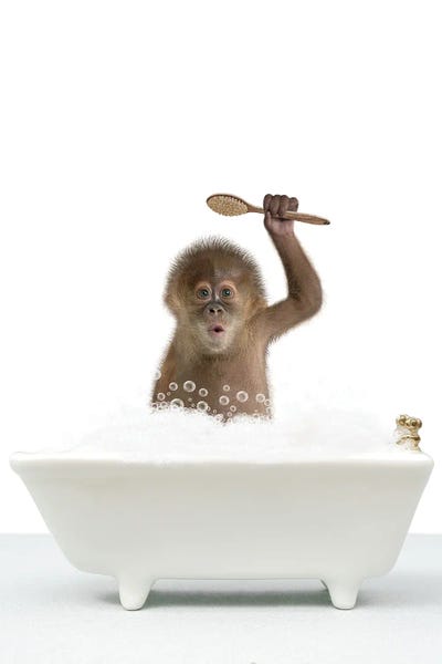 Primates: Monkey In A Bathtub II by Tiny Treasure Prints
