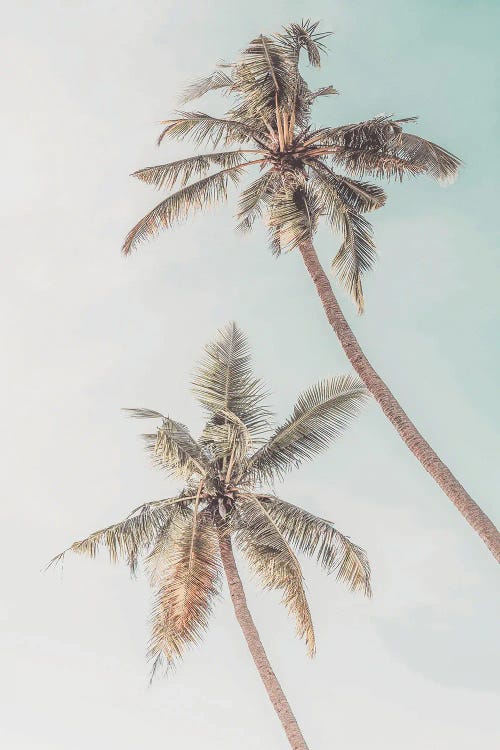 Palm Trees Tropical by Tiny Treasure Prints wall art