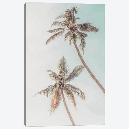 Palm Trees Tropical Canvas Print #TTP158} by Tiny Treasure Prints Art Print