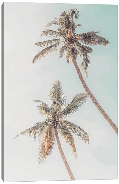 Palm Trees Tropical Canvas Art Print - Tiny Treasure Prints