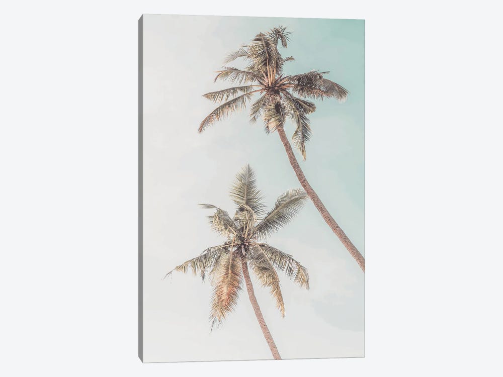 Palm Trees Tropical by Tiny Treasure Prints 1-piece Canvas Print