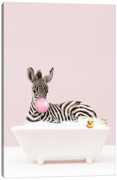Baby Zebra With Bubblegum In Bathtub Canvas Art Print - Kids Bathroom Art
