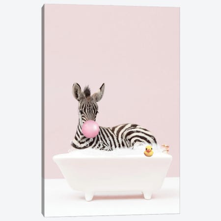 Baby Zebra With Bubblegum In Bathtub Canvas Print #TTP15} by Tiny Treasure Prints Art Print