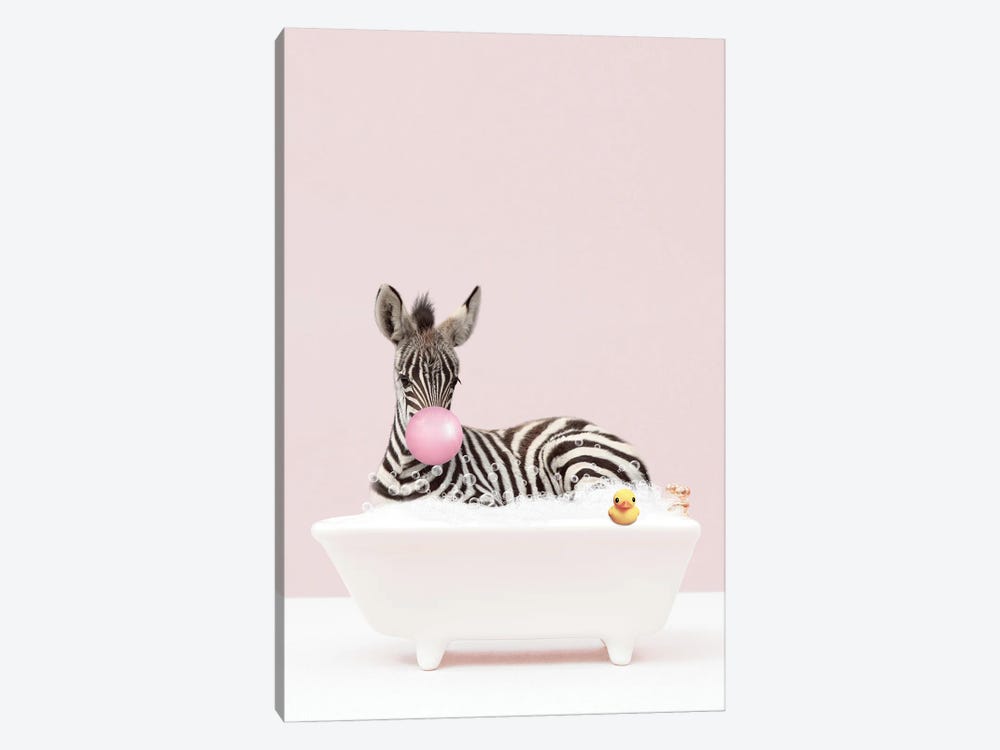 Baby Zebra With Bubblegum In Bathtub by Tiny Treasure Prints 1-piece Canvas Art Print