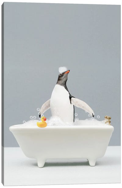 Penguin In A Bathtub Canvas Art Print - Penguin Art