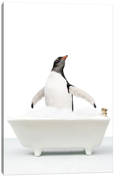 Penguin In A Bathtub II Canvas Art Print - Penguin Art