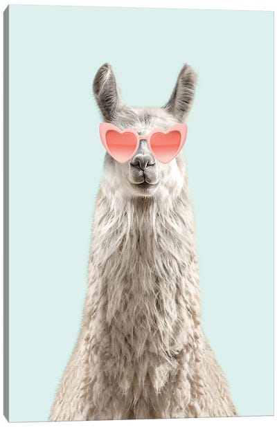Llama With Sunglasses Canvas Art Print - Llama & Alpaca Art